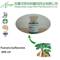 herbal medicine pueraria extract