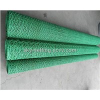 green PVC coated hexagonal wire netting