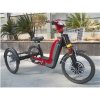 Electric Cargo Trike Bike with 3 Wheels