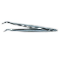 Dental Forceps Galvanized iron Dental clinic Disposable tools home use