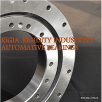 RKS.900155101001 slewing ring bearing no gear