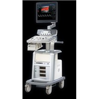 GE LOGIQ P6 Vet ultrasound