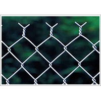 Chain link fence fabric ( Galvanized &amp;amp; Plastic ISO 9001)