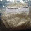 Test Prop Testosterone Propionate USP Labs Anabolic Steroid powder