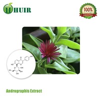 Andrographis Paniculata Extract/ Herba Andrographis P.E/Common Andrographis Herb Extract