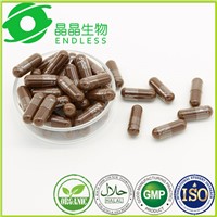 private label herb Cordyceps Sinensis extract powder capsule