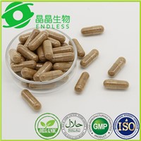 diabetes supplement herbal yarsagumba extract capsule
