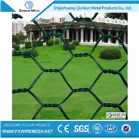 hexagonal chicken wire mesh for small bird decoration cages from china