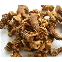 dried galanga