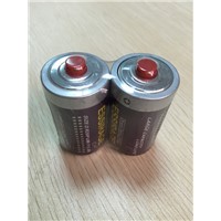 R20 high discharge rate battery