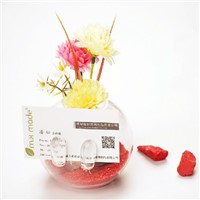 Glass Terrarium Vase Home Decoration Business Gift Glass Name Card Creative Business Promotion Gift