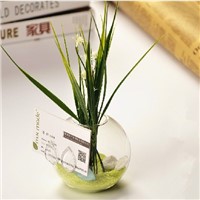 Glass Terrarium Name Card Creative Home Decorative Glass Vase Business Gift Glassware China Supplier