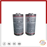 Down hole MWD C size battery  ER 26505