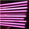 LED Meat T8 Tube Light/Pink Tube For Supermarket/Butcher/ Food/Vegetables 22w