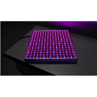 LED lights red and blue layered plant breeding fill light Grow Light