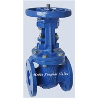 Rising Metal Seat Gate Valve