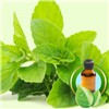 100% Pure Peppermint Essential Oil
