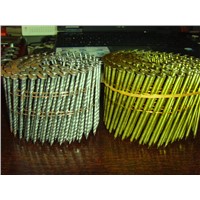 Collated nails /coil nails /wire coil nails