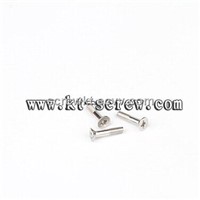 stainless steel screws and fasteners factory (with ISO and RoHs certification)