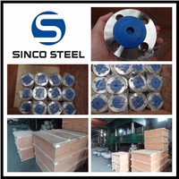 ANSI B16.5 stainless steel pipe flange for industry sanitary