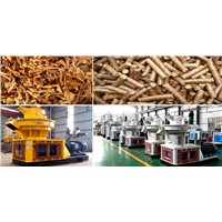 Small Wood Pellet Mill Eases Energy Shortage