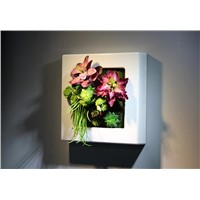 Indoor Artificial Succulent Plants Picture Frame