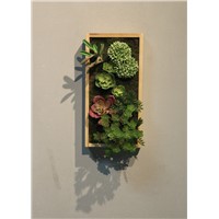 Wooden Frame Green Plant Adornment Picture