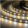 White&Warm White LED Strip color temperature adjustable LED Strip Lights