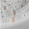 12V 60LEDS/M 72LEDS/M 120LEDS/M 5050 Flexible LED Stirp 5050 RGBW LED Strip