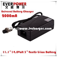 Everpower fast 2A 12Volt LiFePO4 battery car charger
