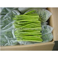 IQF/Frozen Green Asparagus