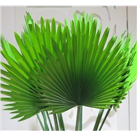 Artificial Coconut Palm Tree Leaf