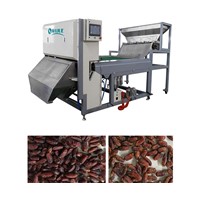 New Style with Lower price, Jujube color sorter.Good quality and After-sales Service.