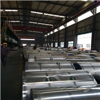 galvanized steel in coils and sheets/hot dip galvanized steel coils