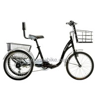 Convenient and Comfortable Electric Tricycle for fun shopping