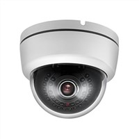 25M 30Black Leds Dome Camera with Environmental Housing