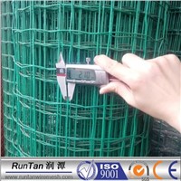 Deep green PVC coated holland electric welded wire mesh