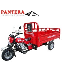 PT250ZH-8 Chongqing Durable Capacity Cargo Use Hot in Africa 3 Wheel Passenger Motorcycle