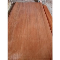 face and back veneers for plywood, MLH, red color veneer, Ev poplar