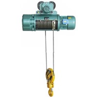 Selling Electric Wire Rope Hoist