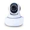 Hot Promotion Perfect Wifi IP Network Camera Wanscam HW0041