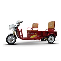 Cargo and passenger electric tricycle