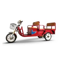 powerfull 500W passenger electric tricycle