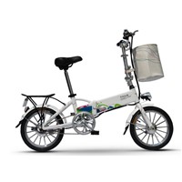 Lithium Battery Power Supply and Brushless Motor Electric Bicycle