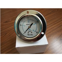 Hydraulic Pressure gauge-Wang 40MPA