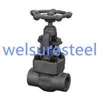 Bolted Bonnet Forged Globe Valve