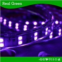 220V SMD5050 Double Row LED strip light -- Purple