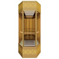 Delfar observation elevator with cheap price