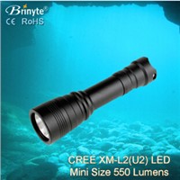 Brinyte magnetic switch led dive light