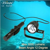 Brinyte under water 200m canister diving flashlight